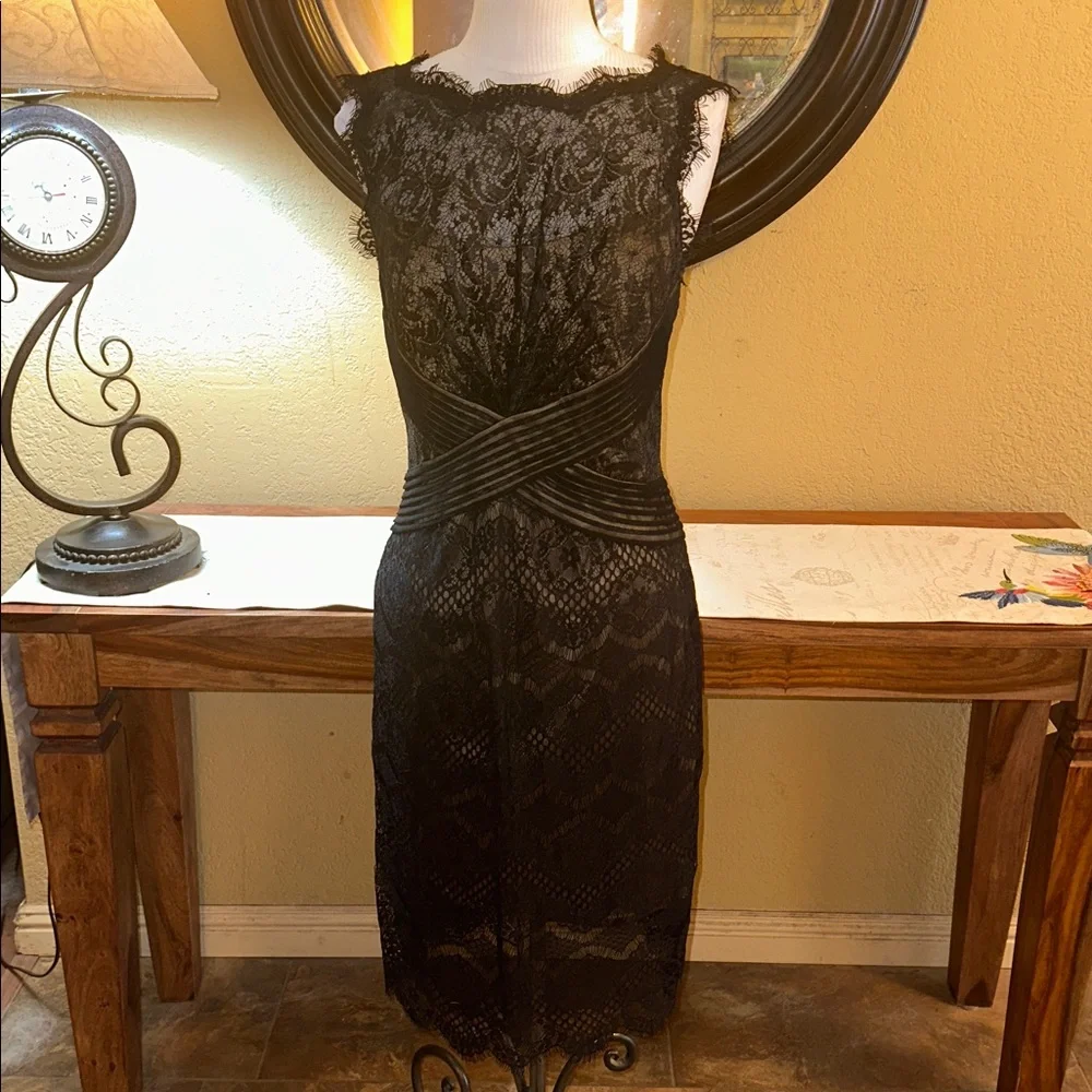Tadashi Shoji Eyelash Lace Dress - Picture 2 of 9